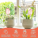 Pink Tulip Plant Watering Balls Suitable For Indoor And Outdoor Plants Automatic Plant Drippers Automatic Watering