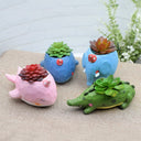 Succulent Flowerpot