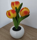 Turtle King LED Tulip Flower Night Light – Artificial Potted Plant Lamp for Bedroom, Living Room, or Desk – Soft Glow Decorative Accent Light for Home Decor