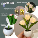 Turtle King LED Tulip Flower Night Light – Artificial Potted Plant Lamp for Bedroom, Living Room, or Desk – Soft Glow Decorative Accent Light for Home Decor