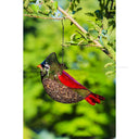 Garden Decoration Metal Bird Feeder Mesh