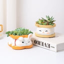 Succulent Small Flower Pot Home Office Green Plant Resin Bonsai Decorations