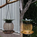 Pineapple Outdoor Hanging Hummingbird Bird Feeder