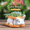 Succulent Small Flower Pot Home Office Green Plant Resin Bonsai Decorations